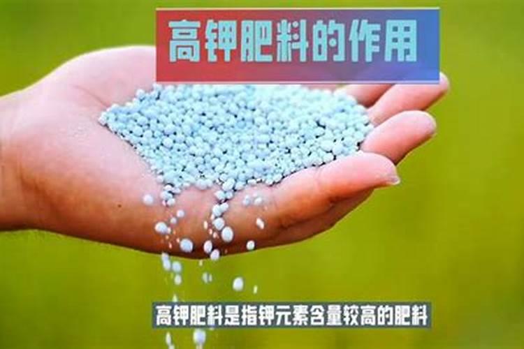 生产水溶肥需要办理哪些证件手续合法