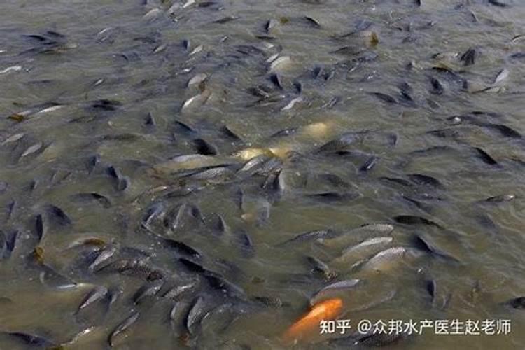硝酸铵钙肥效期多少天