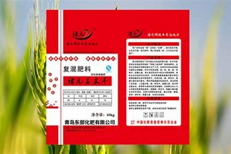 南瓜只长藤不结瓜怎么管理(藤长得好茂盛不结南瓜)