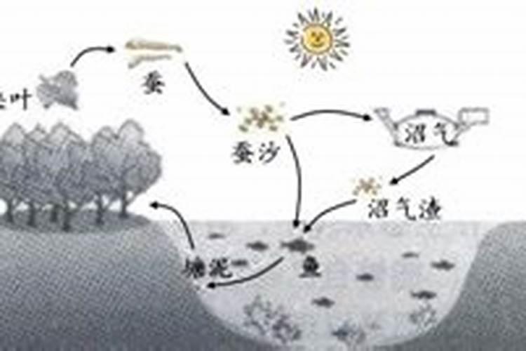 氮、磷、钾肥的作用