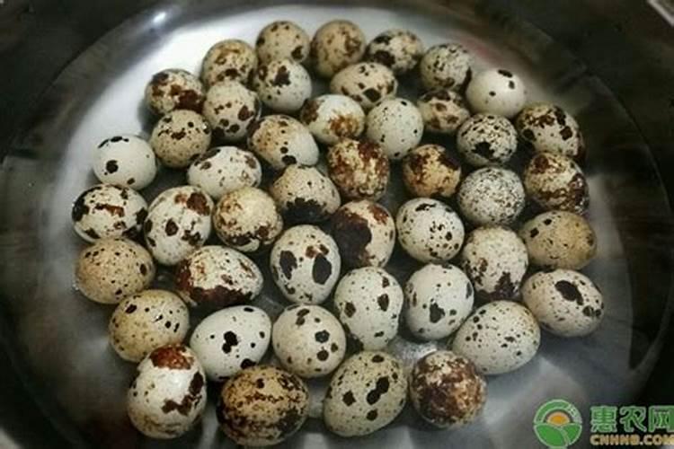 芸苔素内酯哪个厂家好