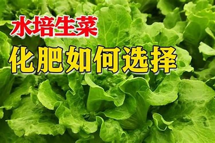 青菜施什么肥最好