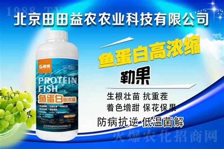 梨树追肥注意什么