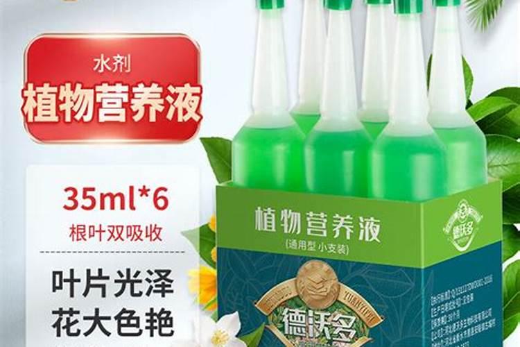 养富贵竹用什么肥料好