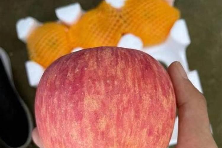 红富士苹果树施肥时间