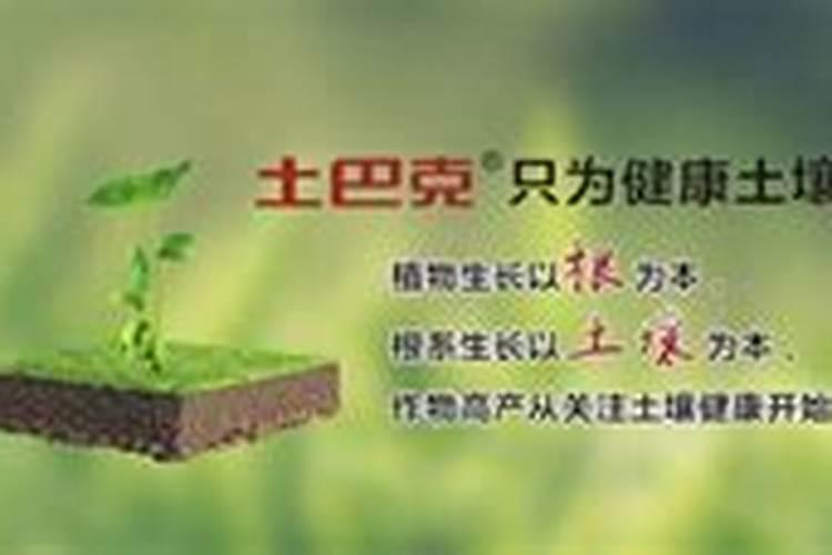 想让白菜长得好应该施什么肥呢？什么肥料白菜不能用呢？