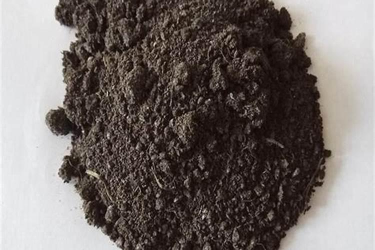 种菜用什么有机肥料最好