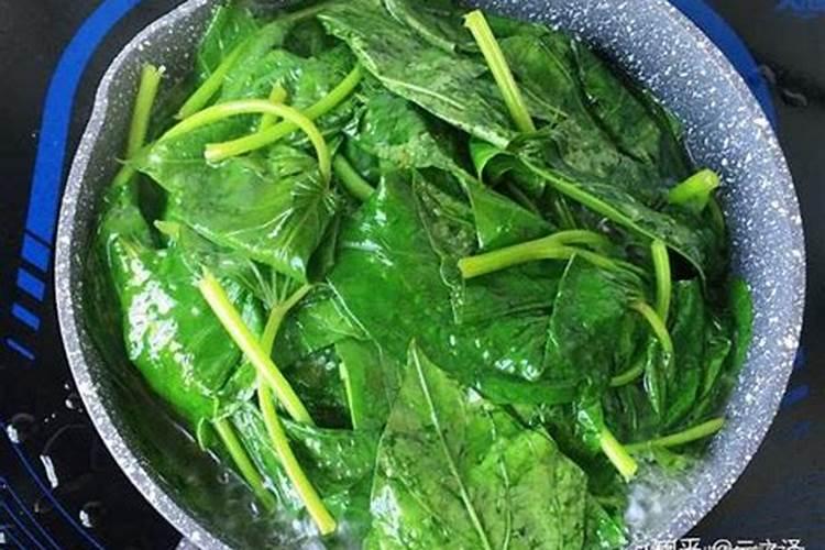 大樱桃花前施啥肥好