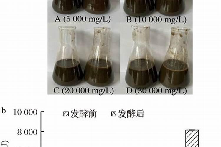 锌肥注意事项