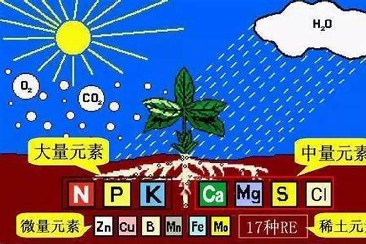 大量元素肥料和微量元素肥料有什么区别