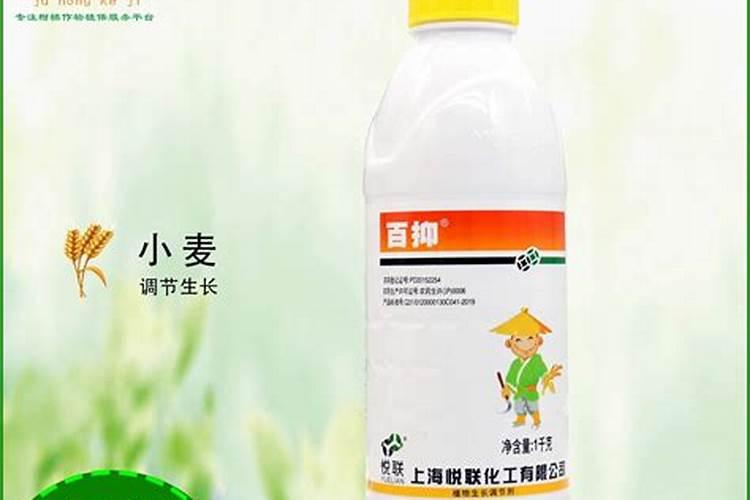 芸苔素和控旺剂可以混用喷小麦吗？