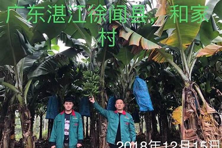 有机肥发酵的方式具体有几种