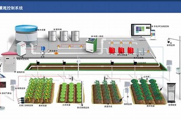 水溶肥的正确使用方法 水溶肥的正确使用方法大全