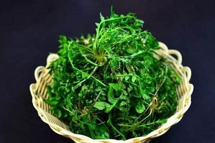 富含钾的蔬菜和水果有哪些