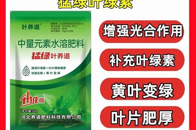 三个20水溶肥怎么配
