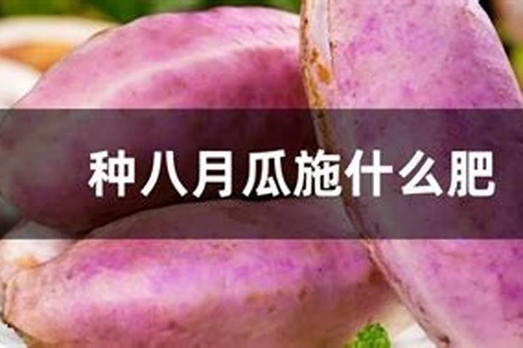 福进门是正规公司吗