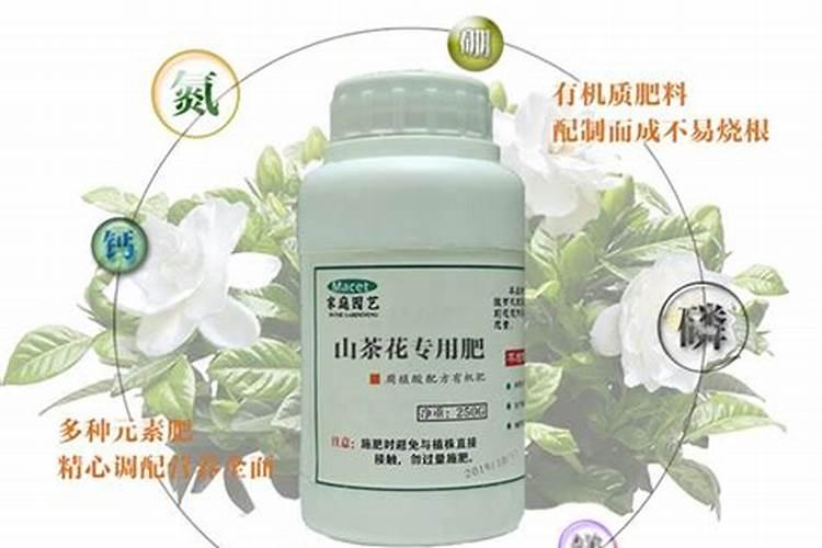 茶花用什么肥料