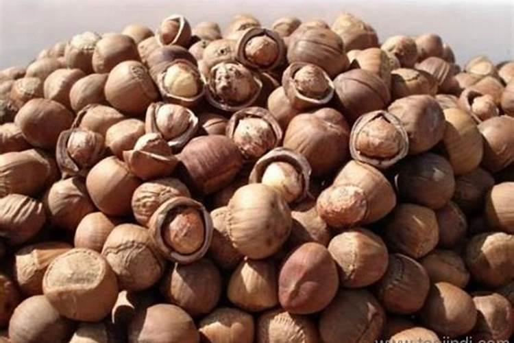 硫酸钾复合肥大榛子树施肥可以吗？