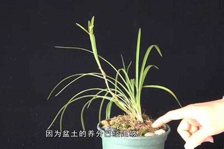 黄瓜柱头腐烂,可以喷洒糖醇钙和硼肥吗？