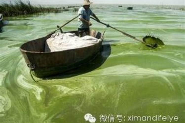 生化系统加磷肥有什么作用