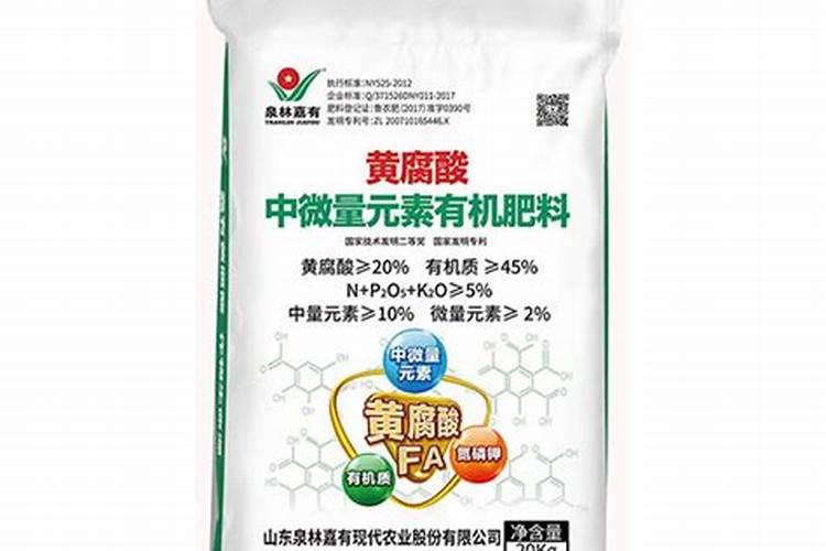 枣树移栽后多久浇水