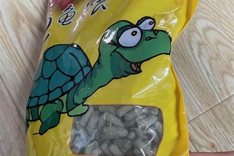 家养乌龟现在不吃东西怎么办？