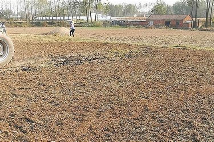 一亩地施多少磷肥合适  磷肥什么时间施最好