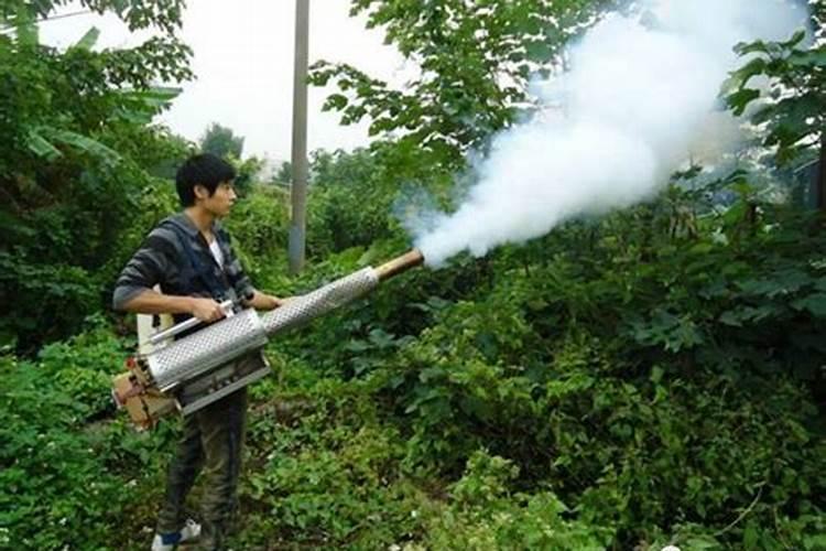葡萄收获期管理