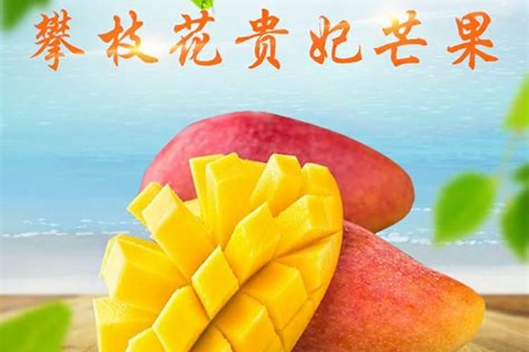 种高梁用什么肥好