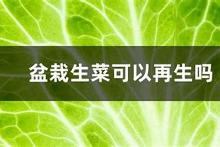 种子发芽多久可以施肥 种子发芽后多久需要施肥