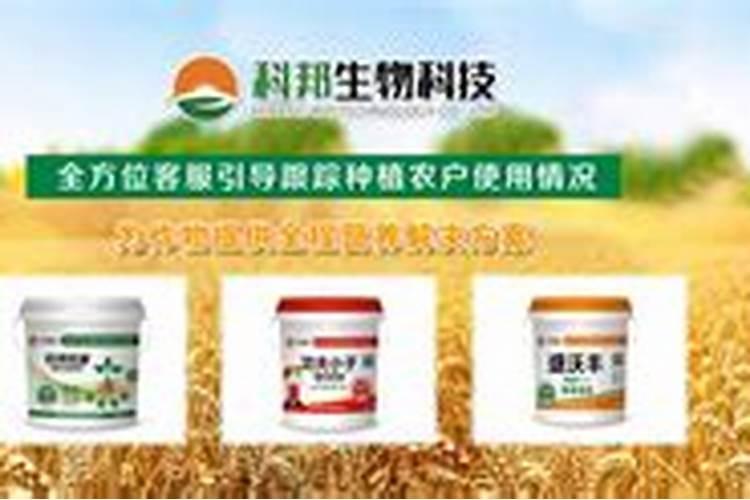 中国最好的海藻肥企业