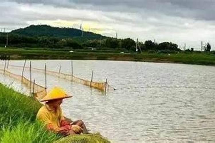 生长在肥水环境中的鱼比较难钓,在肥水塘中钓鱼,需要掌握哪些技巧？
