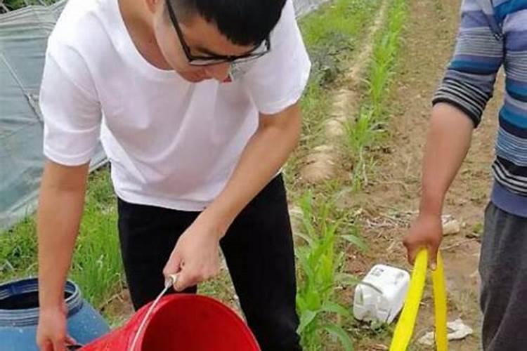 水溶肥用施肥枪,稀释多少倍？