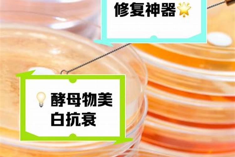 钙肥的作用及施用方法