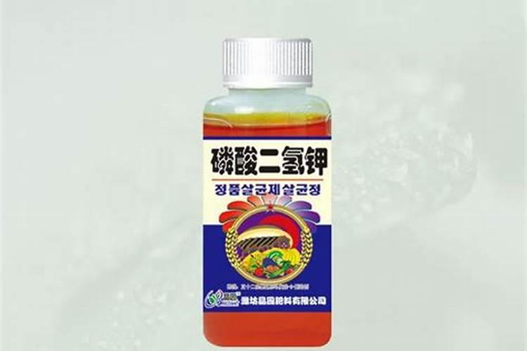 大白菜怎样施肥要点与技术