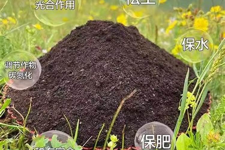 种肥,基肥,底肥,有何区别？