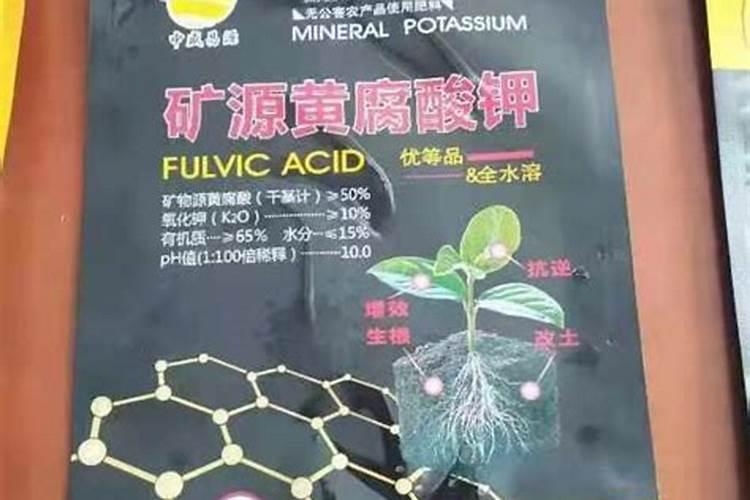 玉米水溶肥的使用方法