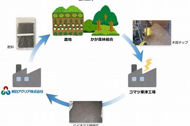 学习任务掌握火山碎屑岩的分类和主要岩石类型的特征