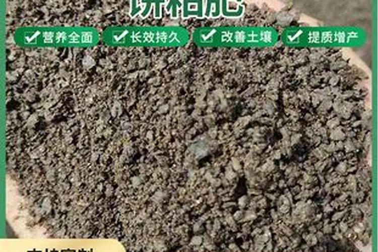 菜枯做肥料怎么用？？
