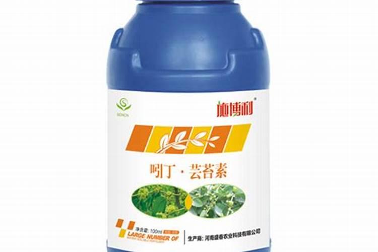 月季过冬这三点重要如何不影响来年开花