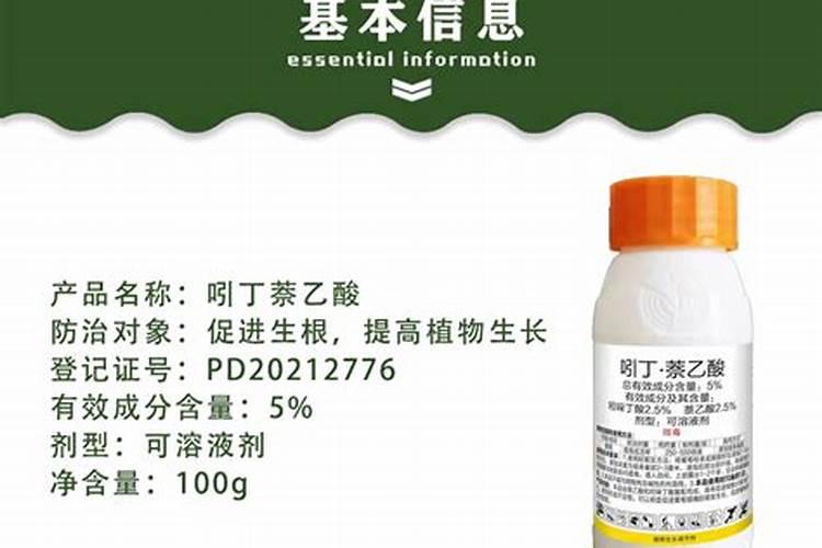 盛花期能喷吲丁萘乙酸吗
