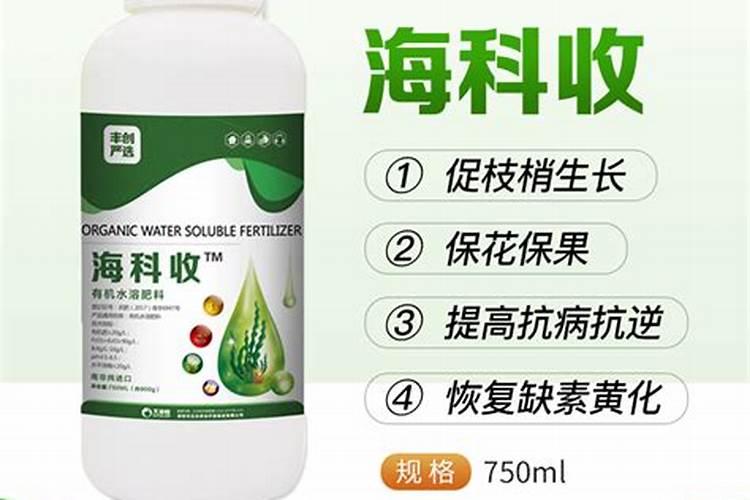 棉田怎样施用硼肥？