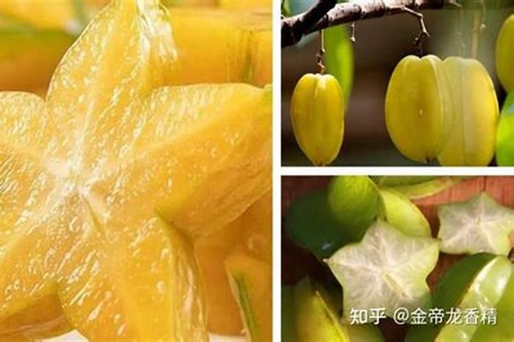 求养虾专家,我家的虾苗得了红体病,求解决方法。另外 不知道传染不？