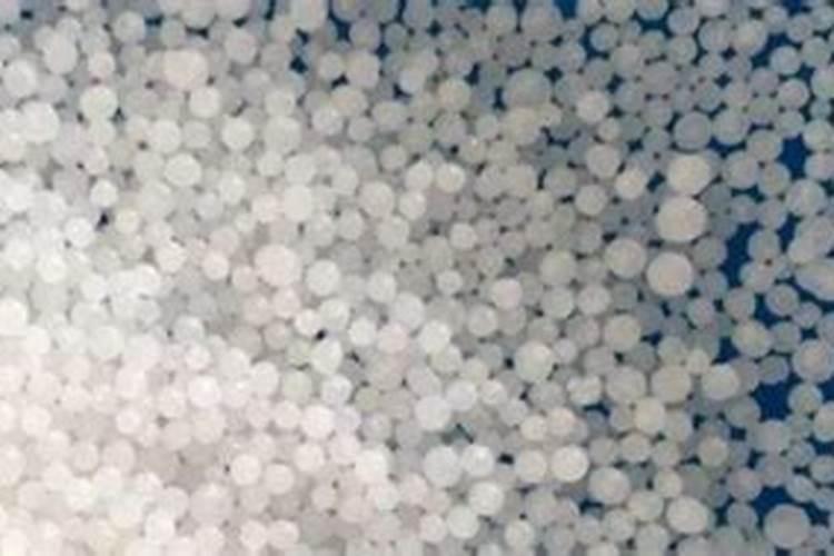 西红柿坐果期怎样浇水西红柿坐果期的浇水方法