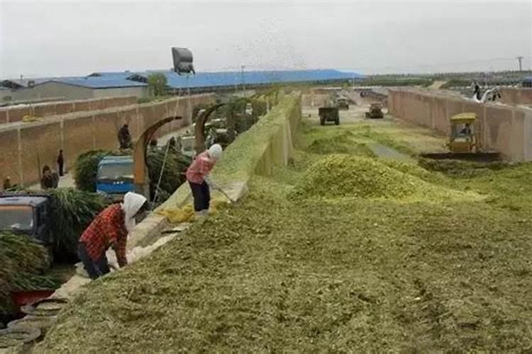 哪些上市公司是三大肥料(氮肥,磷肥,和钾肥)的公司