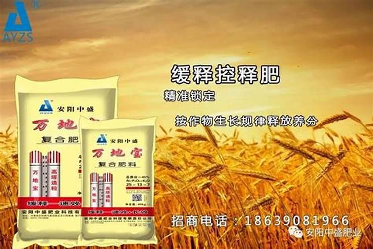 黄瓜,丝瓜,苦瓜苗期喷什么药能促进花芽分化？