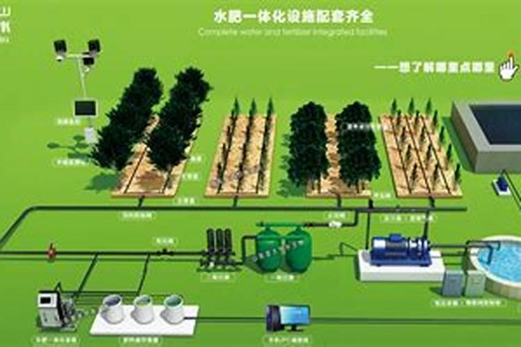 小米光打叶面肥能高产吗？