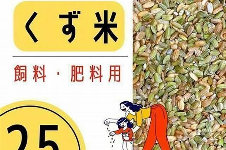 市场上的黄小米和糯小米,哪一种会比较好,你知道吗？