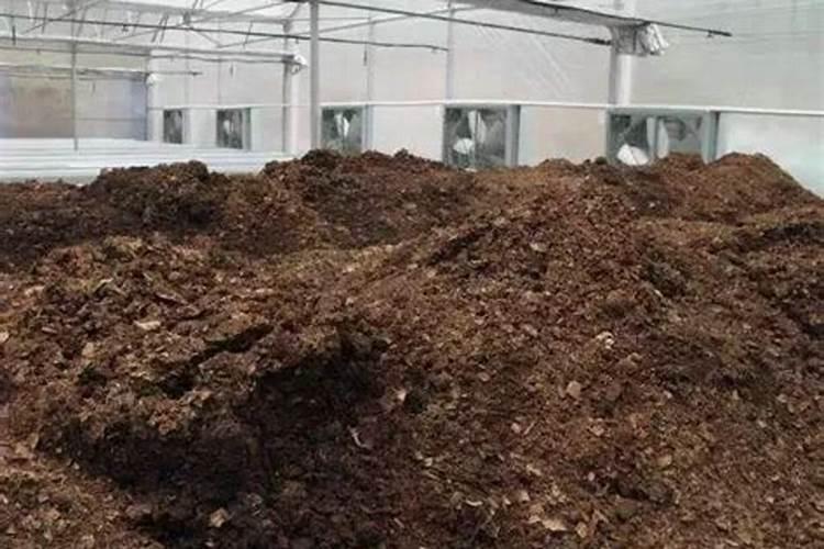 蘑菇渣为什么不能做肥料