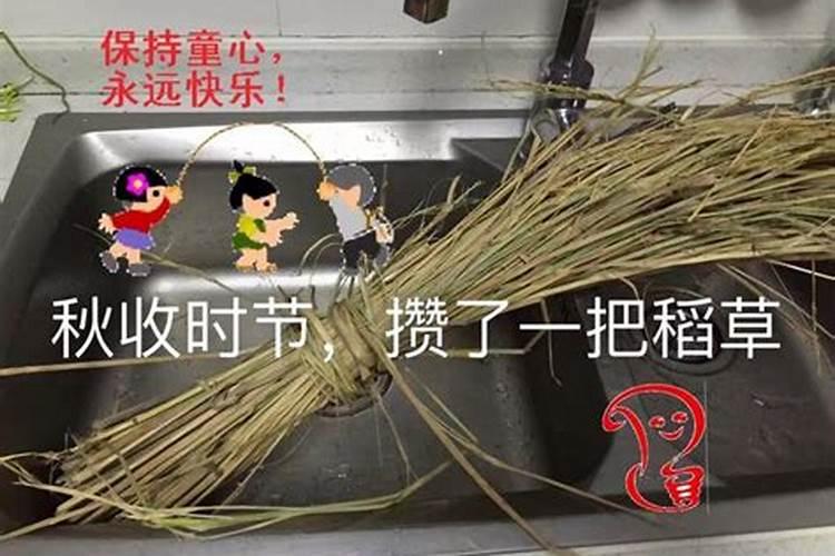 水稻用什么肥料好？
